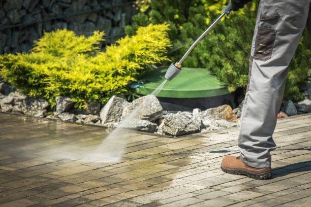 Best Roof Washing  in Fairview Shores, FL