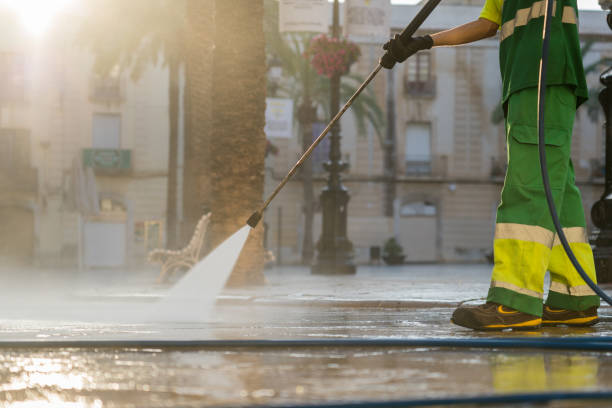 Best Fence Cleaning  in Fairview Shores, FL